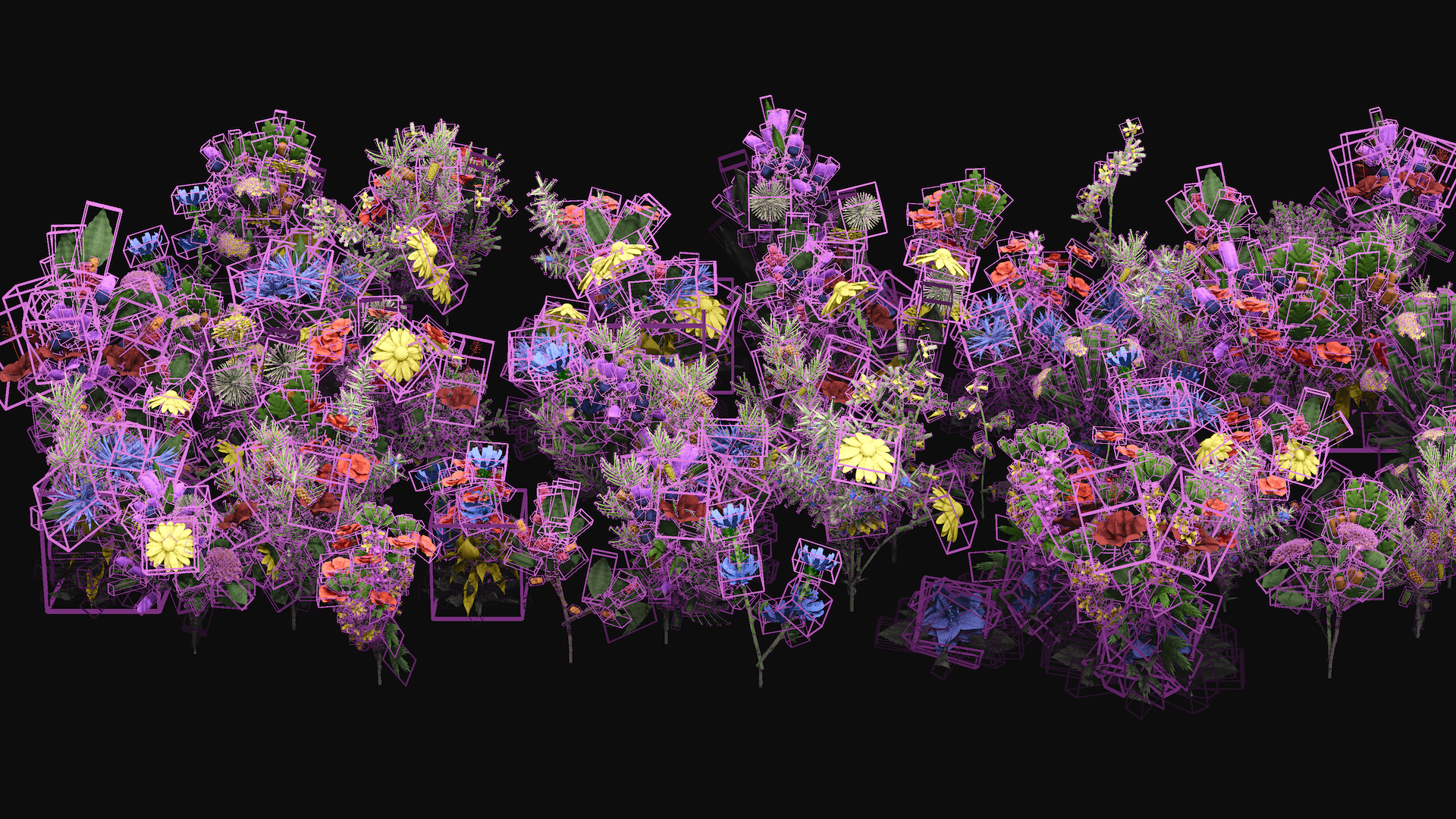 Generations bounding boxes