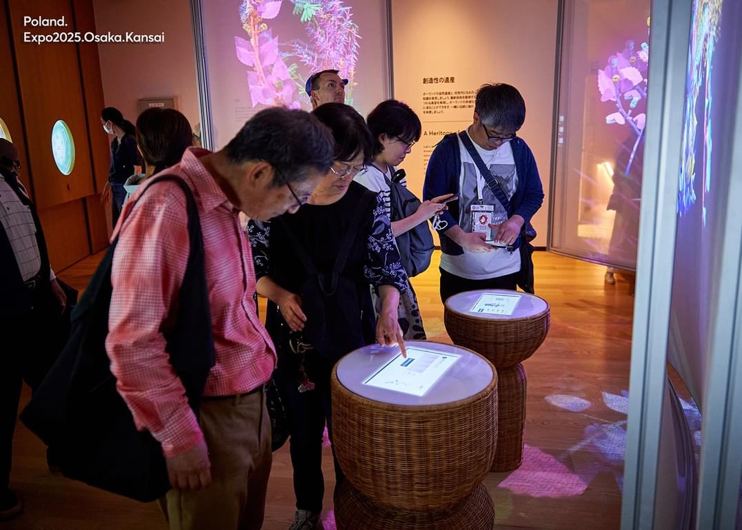 Visitors using Spirit Plant totems